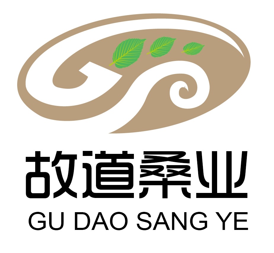 喝茶就可以防脫生發(fā)，太神奇了！桑葉養(yǎng)生茶